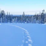 Isokelo Log *