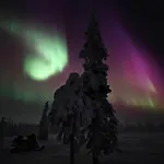 Isokelo Log 살라