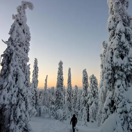 伊索克罗罗格公寓 木屋 萨拉