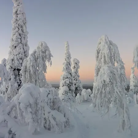 Isokelo Log Domek alpejski Salla