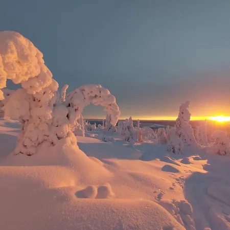 Domek alpejski Isokelo Log Salla