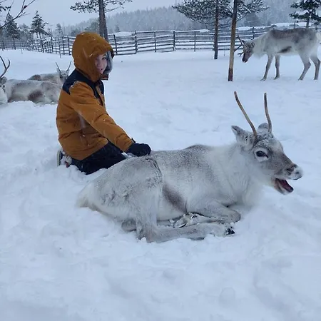 木屋 伊索克罗罗格公寓