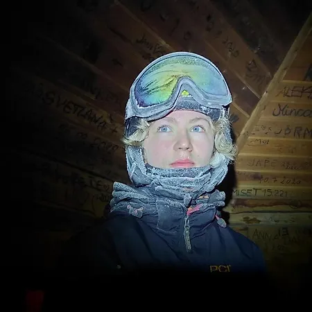 Domek alpejski Isokelo Log