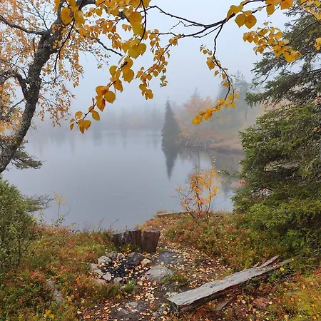 Isokelo Log Chalet Salla