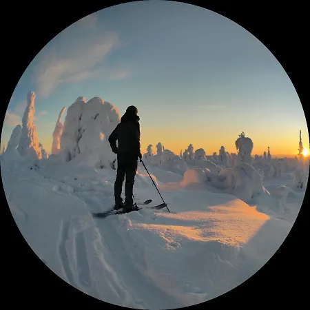 Domek alpejski Isokelo Log *