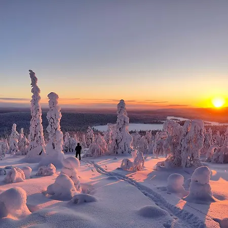 Domek alpejski Isokelo Log Salla