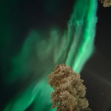 伊索克罗罗格公寓 * 萨拉