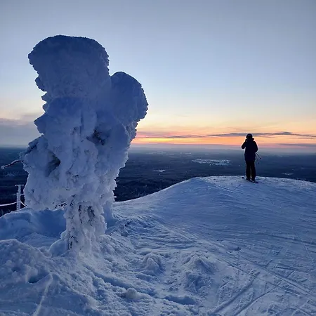Chalet Isokelo Log Salla