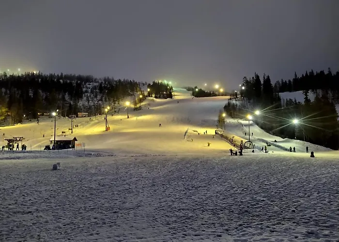 Isokelo Log Alpstuga *