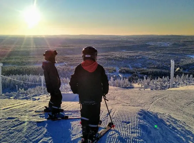 Isokelo Log Alpstuga Salla