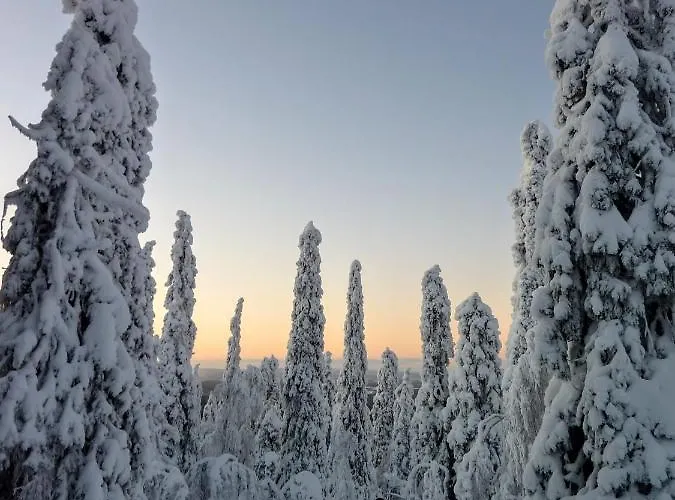 Isokelo Log Alpstuga Salla