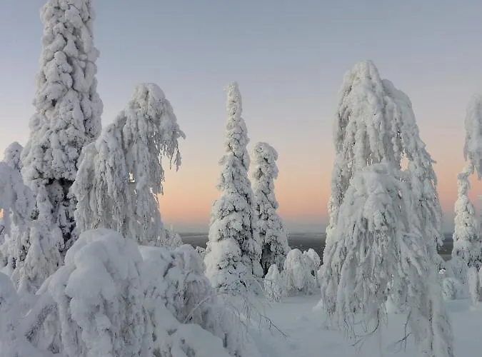 Isokelo Log Alpstuga Salla