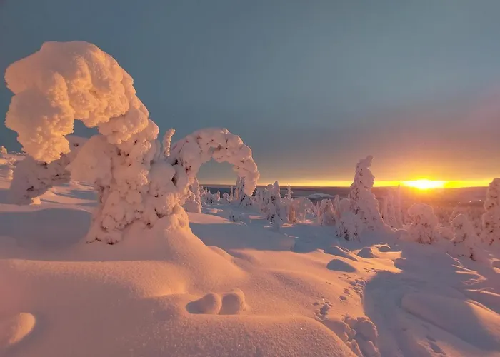 Alpstuga Isokelo Log Salla