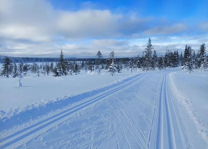 Isokelo Log Alpstuga *