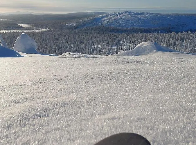 Isokelo Log Alpstuga *