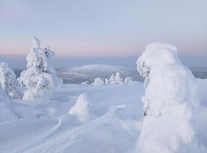 Isokelo Log Alpstuga
