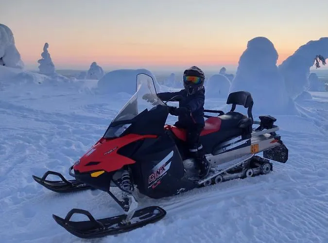 Isokelo Log Alpstuga Salla