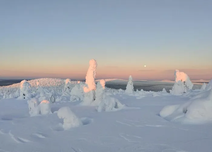 Alpstuga Isokelo Log