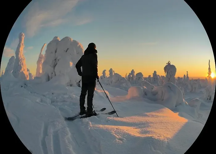 Alpstuga Isokelo Log *