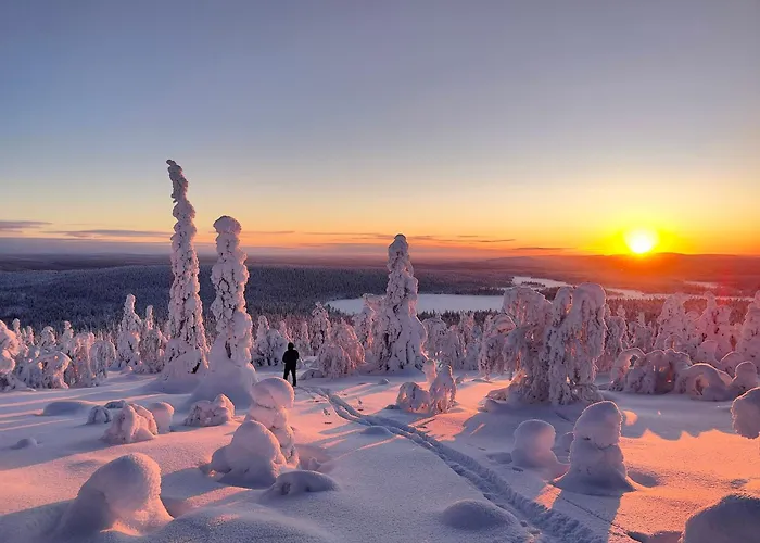Alpstuga Isokelo Log Salla