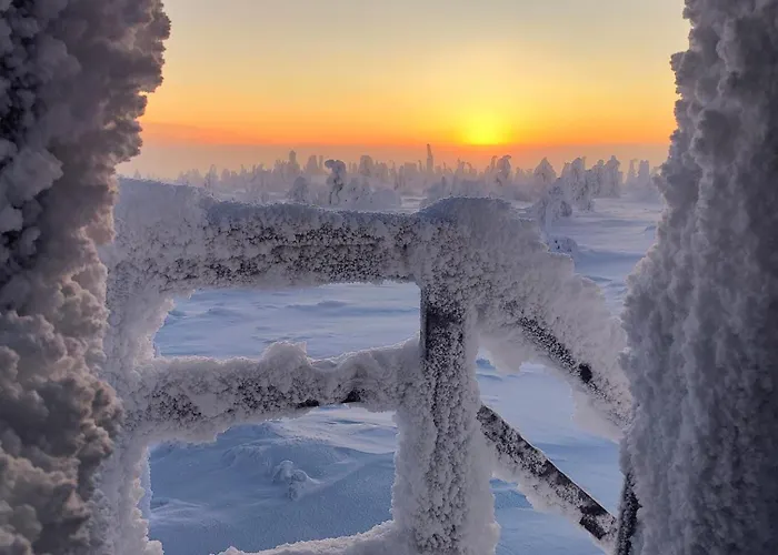 Alpstuga Isokelo Log Salla