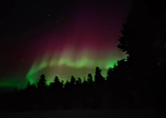 Alpstuga Isokelo Log