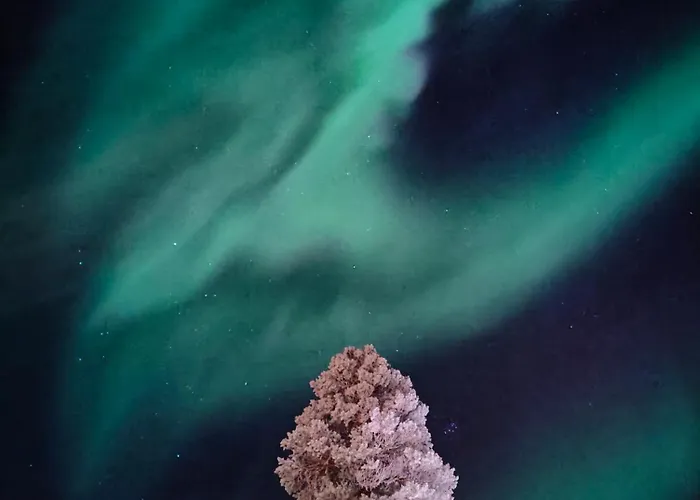 Alpstuga Isokelo Log Salla