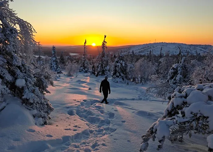 Alpstuga Isokelo Log *