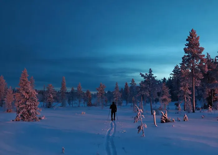 Alpstuga Isokelo Log