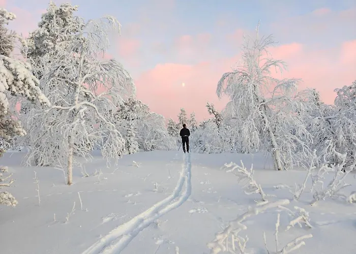Isokelo Log Alpstuga Salla