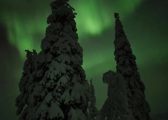 Isokelo Log Alpstuga *