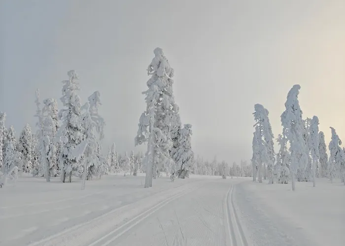 Isokelo Log Alpstuga