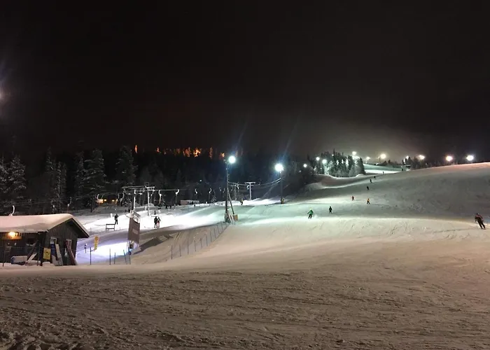 Isokelo Log Alpstuga Salla