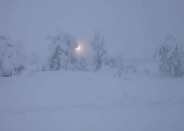 Isokelo Log Alpstuga *